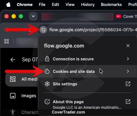 آموزش رفع مشکل گوگل فلو (Google Flow)؛ ارور Flow is not available in your country yet 6 پاک کردن کوکی های Google Flow