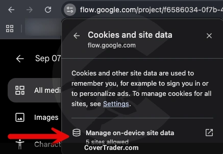 آموزش رفع مشکل گوگل فلو (Google Flow)؛ ارور Flow is not available in your country yet 7 پاک کردن کوکی های Google Flow